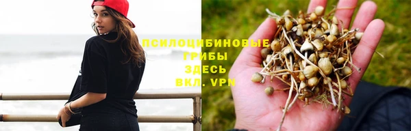 ГАЛЛЮЦИНОГЕННЫЕ ГРИБЫ Вяземский
