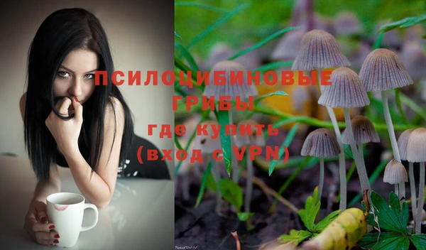 2c-b Ладушкин