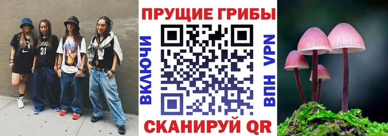 Галлюциногенные грибы Psilocybe  дарнет шоп  Мариинск 
