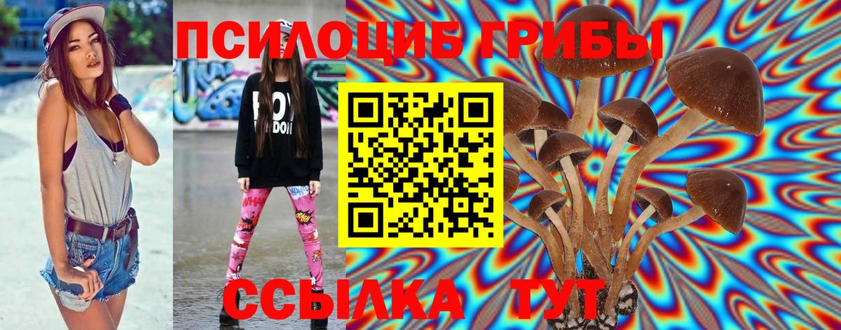 Псилоцибиновые грибы Psilocybe  Вход с VPN  Мариинск 