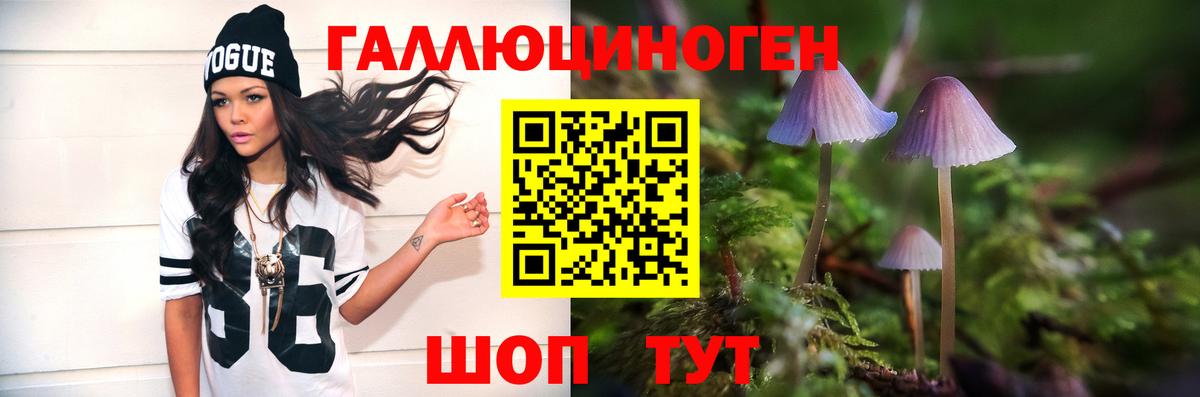 Галлюциногенные грибы Psilocybe  Псилоцибиновые грибы мицелий  Мариинск 
