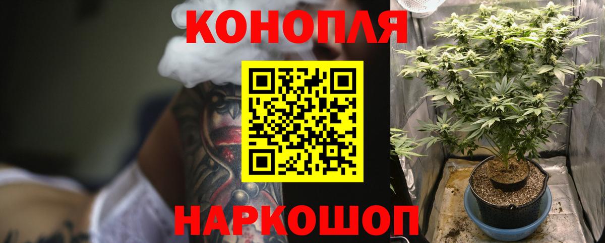 Бошки Шишки сатива  МАРИХУАНА сатива  Вход с VPN  Мариинск 